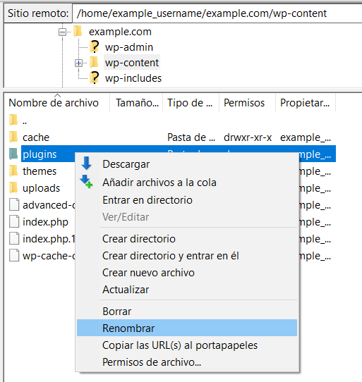 ES Filezilla rename plugin directory
