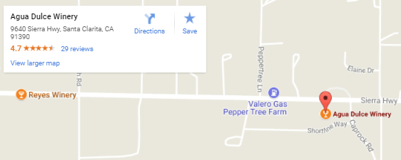 adding address to google maps