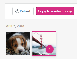 Import Google Photos To WordPress - GetSocialGuide - WordPress Tips and Tricks for Amateur Bloggers